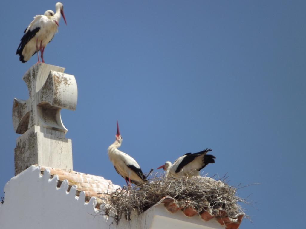 Entrecubos Guesthouse Olhão Dış mekan fotoğraf