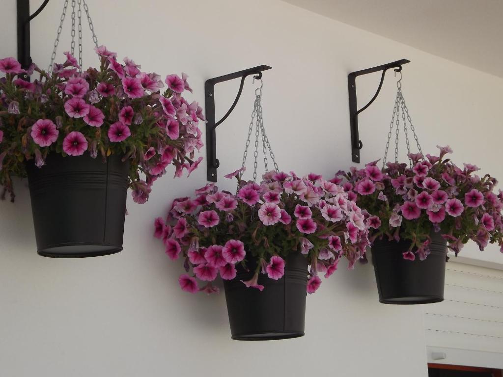 Entrecubos Guesthouse Olhão Oda fotoğraf
