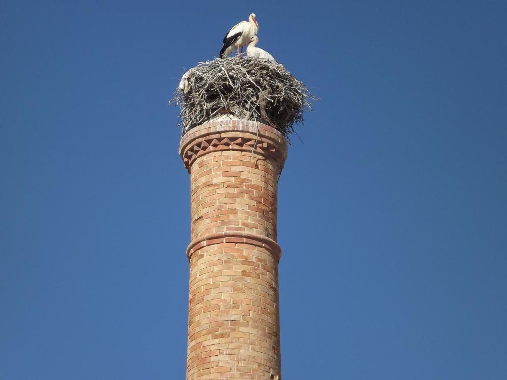 Entrecubos Guesthouse Olhão Dış mekan fotoğraf